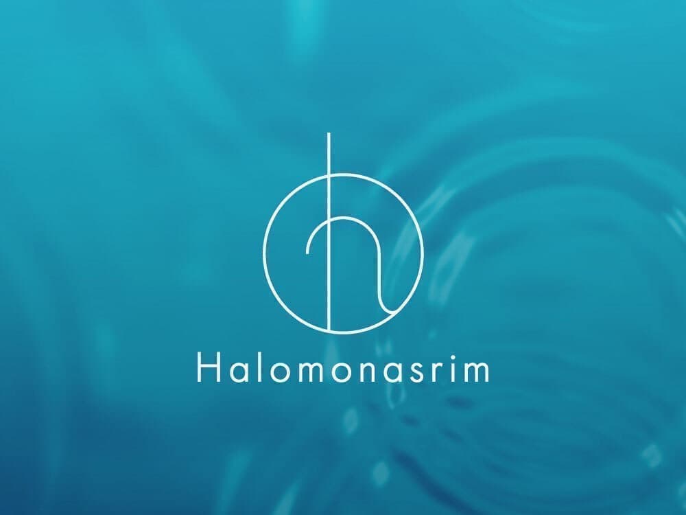 北摂ホームページデザイン_webサイト_吹田市江坂のデザイン事務所